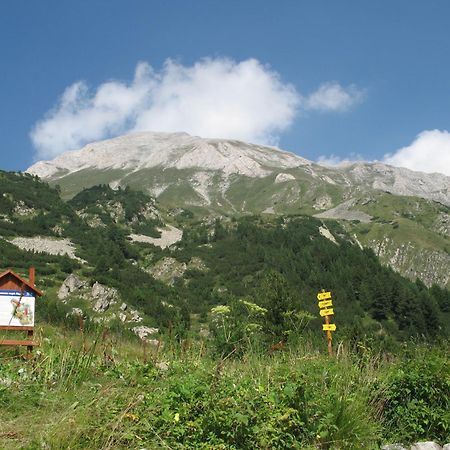 Hotel Dumanov Bansko Bagian luar foto