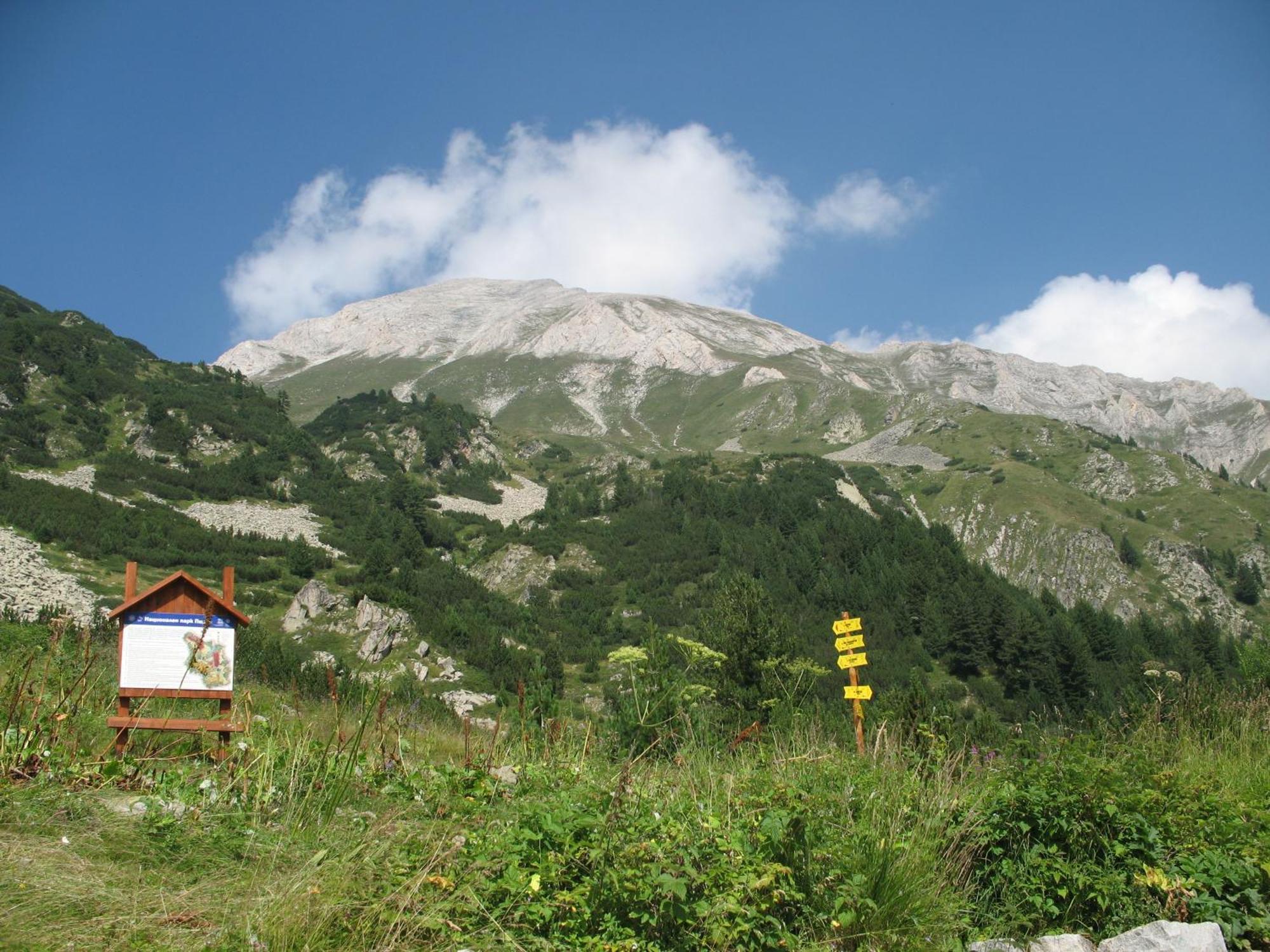 Hotel Dumanov Bansko Bagian luar foto